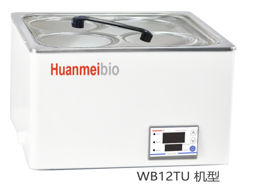 &#76;&#69;&#84;&#79;&#85;&#46;&#67;&#79;&#77;&#45;&#20048;&#25237;&#65288;&#20013;&#22269;&#65289;